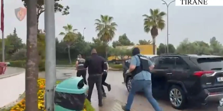 Sillnin armë nga Kosova dhe i shisnin në Tiranë, zbardhen emrat e 10 të arrestuarve