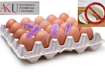 Helmimi i femijëve në Gramsh, zbulohet kompania e vezëve me salmonelë, në emër të bashkëshortes së Agron Çelës