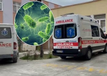 ISHP: 17 fëmijë të infektuar me salmonelë në kopshtin e Gramshit