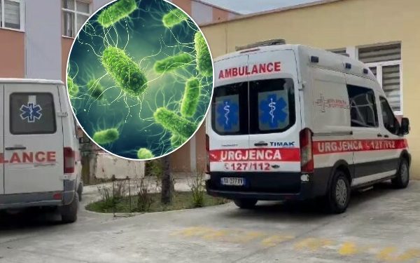 ISHP: 17 fëmijë të infektuar me salmonelë në kopshtin e Gramshit