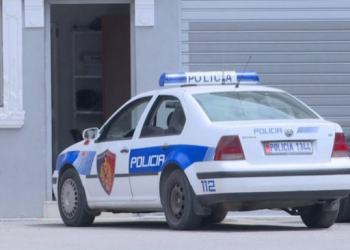 Të shtëna me armë zjarri në zonën e Institutit