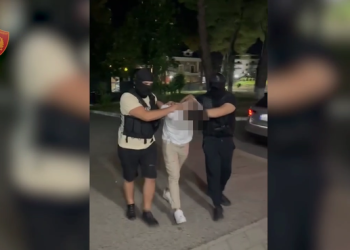 Akuzohet si pjesë e një grupi kriminal, arrestohet 23-vjeçari në Vaun e Dejës