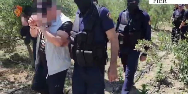 Trafikim armësh dhe droge! Goditet grupi kriminal në Fier, arrestohen 4 persona me rrezikshmëri të lartë