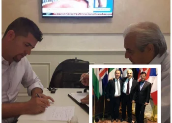 Pushtoi tregun e fotovoltaikëve, grupi që fshihet pas Rako Paja nga Tano Karidi grek tek ‘ujqërit’ e Tiranës, pastrim parash dhe korrupsion