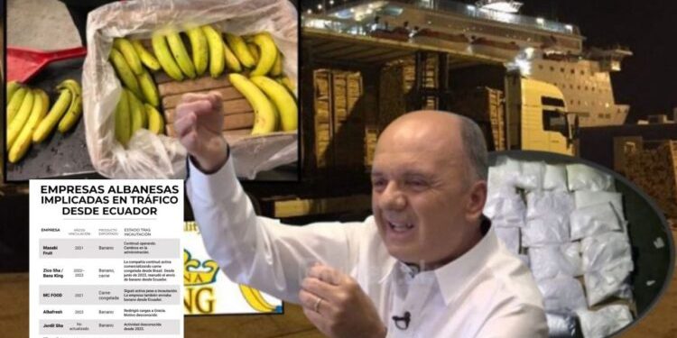 Investigimi/ Ja bizneset shqiptare që trafikojnë kokainë nga Ekuadori, kryeson “Bana King” e Trifon Muratajt