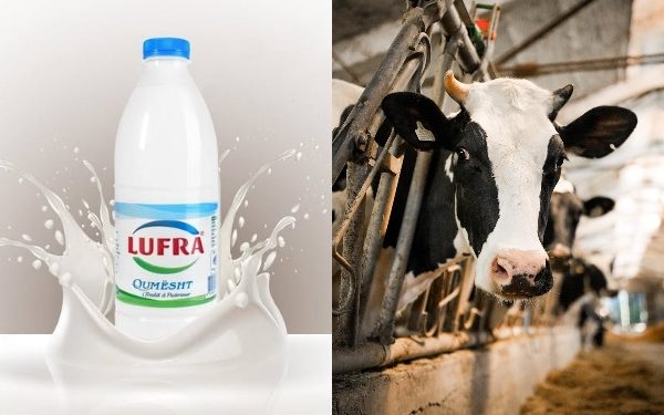 Mashtrimi/ Kompania “Lufra” reklamon lopën Lara, por s’ka fermë