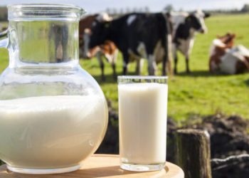 GRAFIKËT/ Bie numri i lopëve, shqiptarët po ngopen me qumësht pluhur dhe vaj palme: Sëmundjet kardiovaskulare bëjnë kërdinë