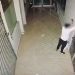 Vodhi çantat e punonjësve në spital, arrestohet 40-vjeçari