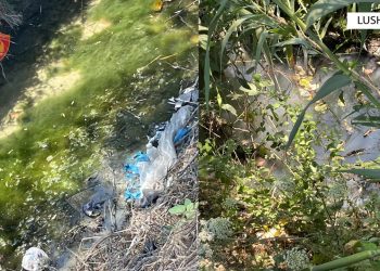 Ndoti ujërat e kanalit kullues të fshatit Allprenaj, procedohet pronari i fabrikës në Lushnje