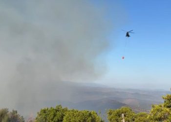 Vatra e zjarrit në Drenovë ende aktive, 40 trupa të Forcave të Armatosura në terren
