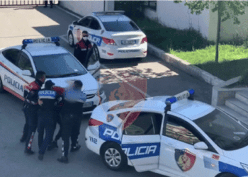 Theu arrestin shtëpiak dhe kanosi me thikë një person, arrestohet vlonjati