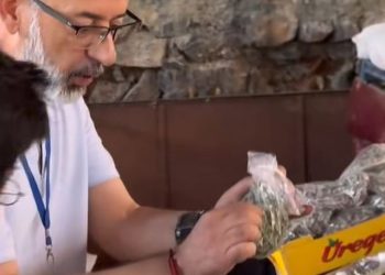 Çudira në Sarandë/ Inspektori i Tatimeve kërkon faturë dhe për rigonin e malit!