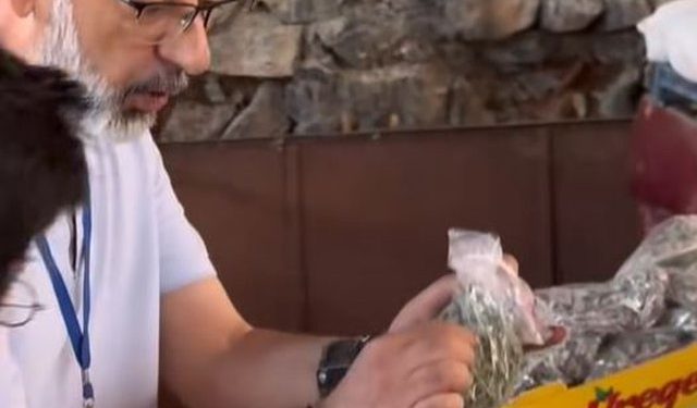 Çudira në Sarandë/ Inspektori i Tatimeve kërkon faturë dhe për rigonin e malit!