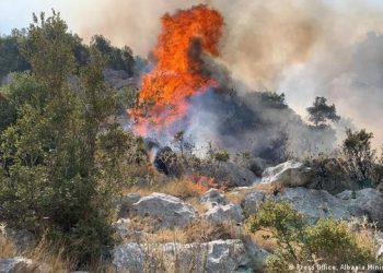 Zjarri në fshatin Senicë, pëson djegie në trup shefi i komisariatit të Delvinës