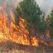 Shqipëria në flakë, 37 vatra zjarri në 24 orët e fundit, situata kritike në disa zona