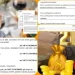 Ja nga i gjente lekët Skerdi Drenova për të shpenzuar 70 mijë euro ditëlindje për sekseren e tij. Tenderi abuziv që do e dërgojë në SPAK