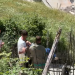 Sërish tensione në Theth: Gruas i bie të fikët gjatë përplasjes me IKMT dhe policinë