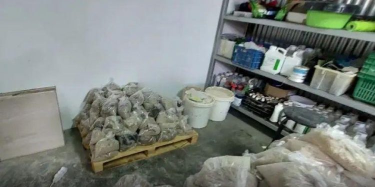 Laboratori i kokainës në Greqi, zbulohen EMRAT e shqiptareve të arrestuar dhe në kërkim