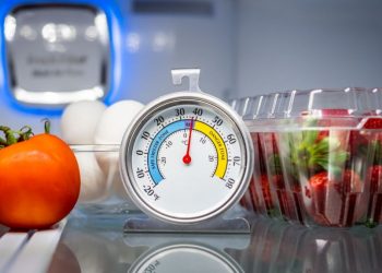 Ruajtja e ushqimeve në mënyrë të sigurt, ja në çfarë temperature duhet ta vendosim frigoriferin gjatë verës
