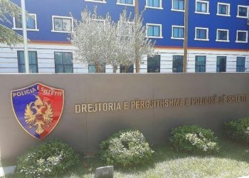 Jep dorëheqjen drejtori i Kufirit dhe Migracionit