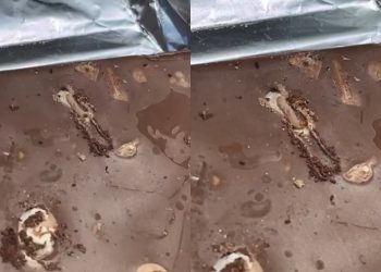 Qytetarja blen çokollatë në supermarketin Xhangolli, i del e prishur dhe me krimba