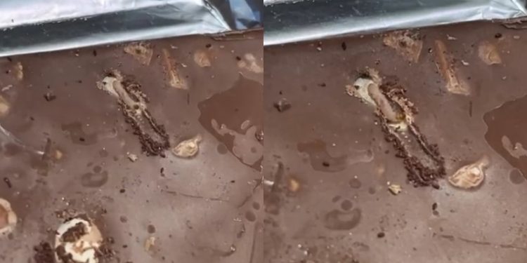 Qytetarja blen çokollatë në supermarketin Xhangolli, i del e prishur dhe me krimba