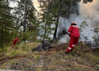 Situata nga zjarret, 23 vatra të regjistruara gjatë orëve të fundit, 4 mbeten aktive