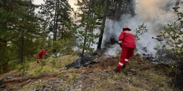 Situata nga zjarret, 23 vatra të regjistruara gjatë orëve të fundit, 4 mbeten aktive