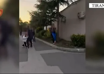 Morën në postë pakon me drogë të ardhur nga SHBA, arrestohen dy të mitur në Vorë