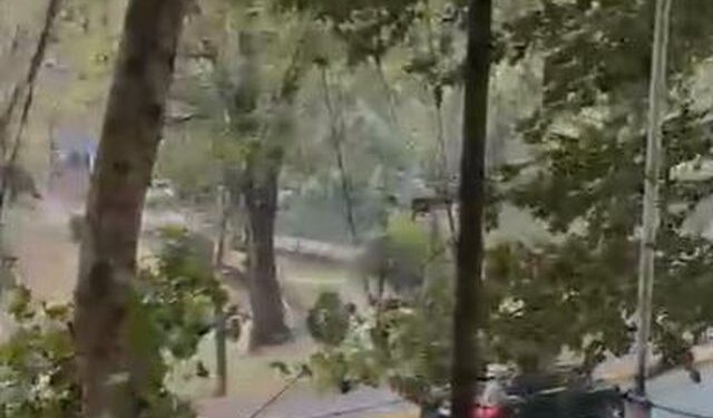 Tirana goditet nga stuhia, reshje shiu dhe erë e fortë