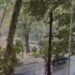 Tirana goditet nga stuhia, reshje shiu dhe erë e fortë