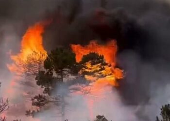 Zjarret në Gramsh, ende vatra aktive në Kodovjat dhe Skënderbegas