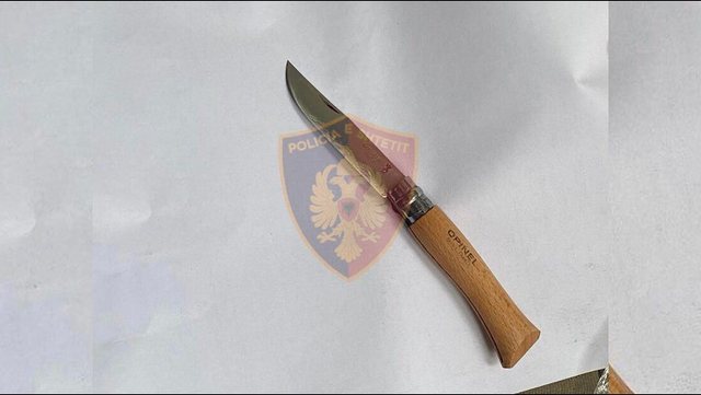 41-vjeçari godet bashkëjetuesen me thikë në Tiranë, arrestohet nga Policia