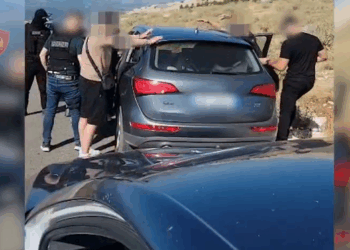 Pjesë e një grupi kriminal, arrestohet në Malin e Tomorrit 46-vjeçari