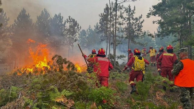 Situata me zjarret në vend, 4 vatra janë ende aktive