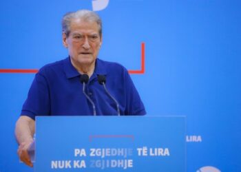 Berisha: Zjarrfikësit çekë e sllovakë shuajnë zjarret në Tepelenë, policia dhe ushtria rrethojnë mediat