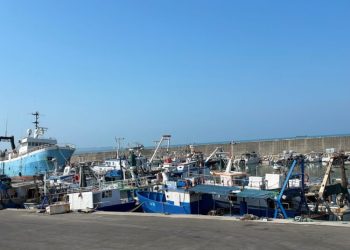 Të vetmit në Mesdhe/ Peshkimi pa ndërprerje në Shqipëri rrezikon rezervat detare