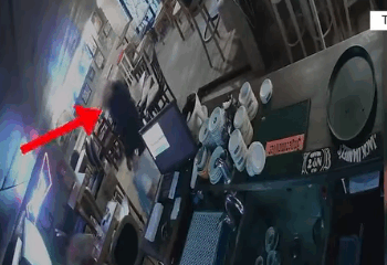 Policia aksion në një lokal në Tiranë, arrestohen 4 të rinj me kok*inë