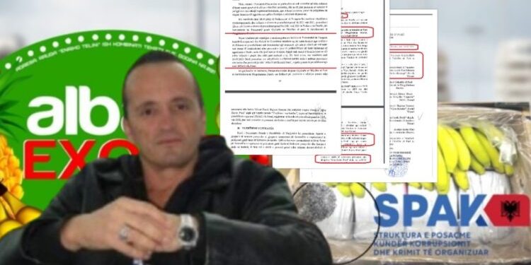 Kokainë në banane/ SPAK dhe “Durrësi” shfajësojnë pronarët e “Alba Exotic Fruit”, hiqet sekuestro