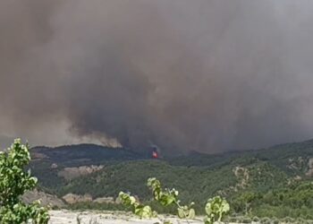 Situatë dramatike nga zjarret në Gramsh, 1 viktimë dhe disa persona të djegur nga flakët