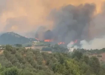Zjarret masive në vend, 46 të arrestuar që prej qershorit, 91 autorë nën hetim