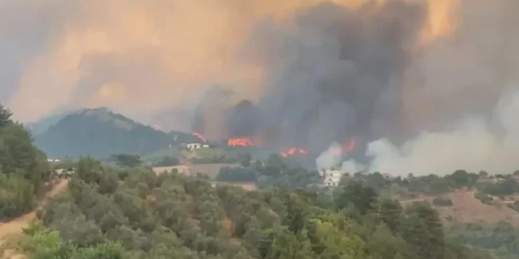 Zjarret masive në vend, 46 të arrestuar që prej qershorit, 91 autorë nën hetim