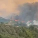 Zjarret masive në vend, 46 të arrestuar që prej qershorit, 91 autorë nën hetim