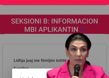 Prindërit nuk regjistrojmë dot fëmijët në klasë të parë: E-Albania nuk punon!