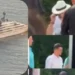 Prapaskenat e pazareve që u vulosën te dreka luksoze në “Kep Merli” me zëvendëskryeministrin e Emirateve, Rama dhe…