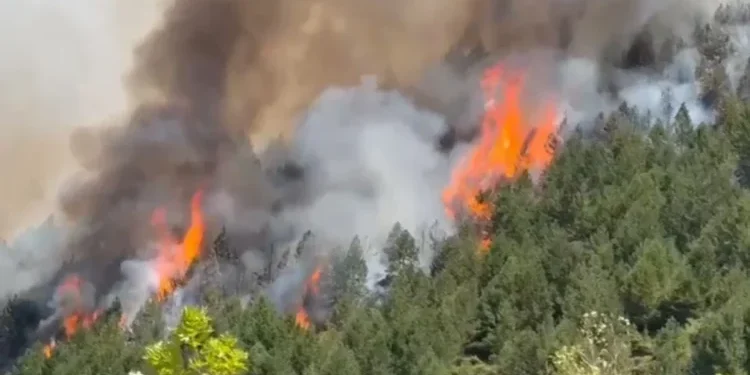 Shqipëria në flakë! Kronikë e zjarreve të paralajmëruara