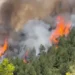 Shqipëria në flakë! Kronikë e zjarreve të paralajmëruara
