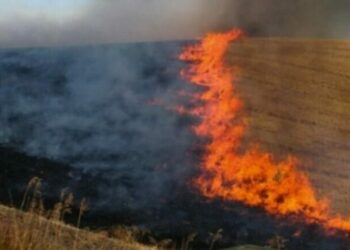 Situata me zjarret, 5 vatra të raportuara në 24 orë, 3 ende aktive