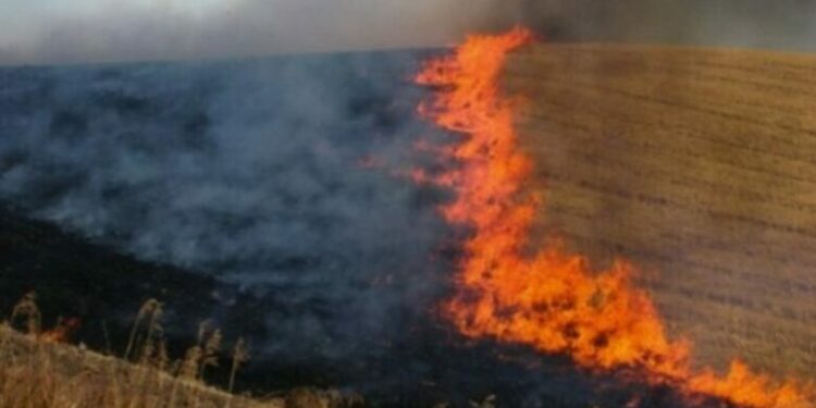 Situata me zjarret, 5 vatra të raportuara në 24 orë, 3 ende aktive