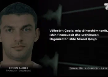 Erion Alibej: Kërkova ndihmë… nga vrasësi i vëllait, nuk e dija se ma ekzekutuan miqtë tanë